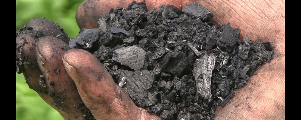 Biochar