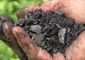 Biochar