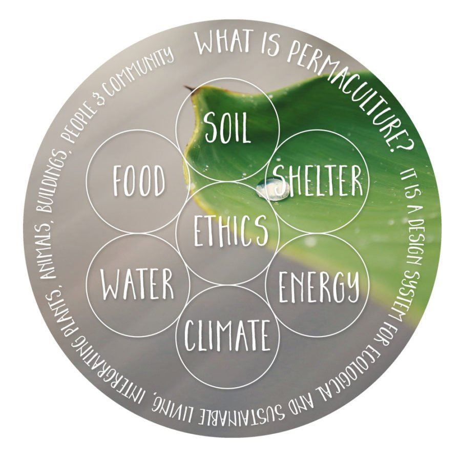Permaculture Research Institute